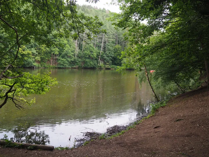 Coulnifontaine (Belgium) (confluence western and eastern Ourthe)